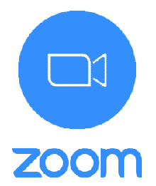 Zoom Logo